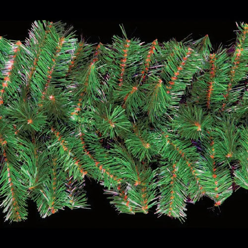 Mountain Pine 16